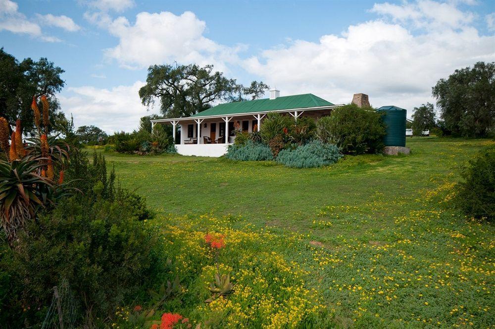Leeuwenbosch Country House - Amakhala Game Reserve Eksteriør billede