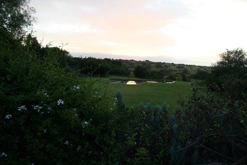 Leeuwenbosch Country House - Amakhala Game Reserve Eksteriør billede