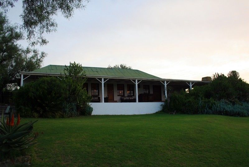 Leeuwenbosch Country House - Amakhala Game Reserve Eksteriør billede