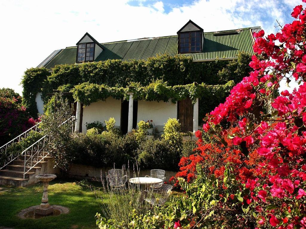 Leeuwenbosch Country House - Amakhala Game Reserve Eksteriør billede