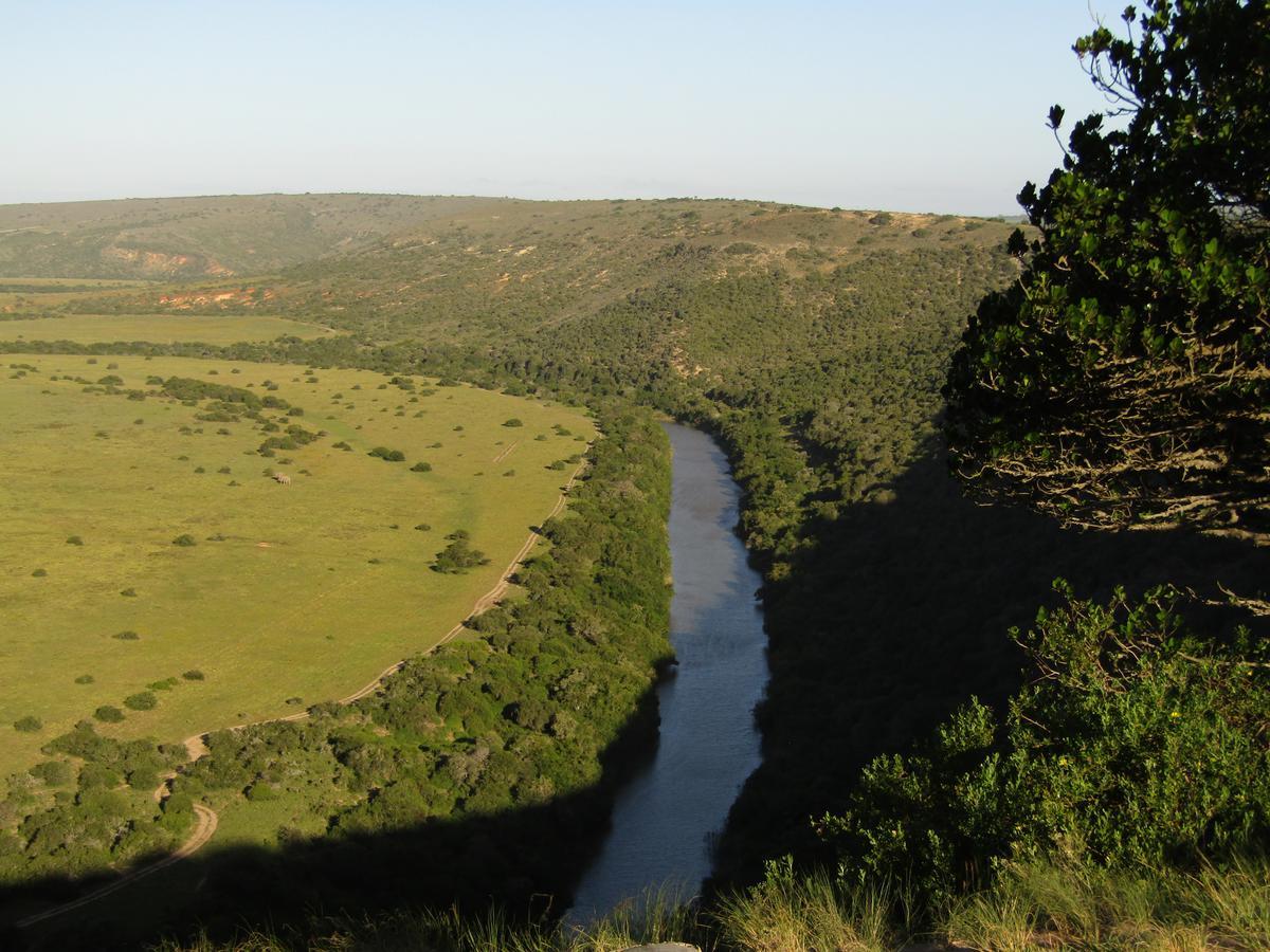 Leeuwenbosch Country House - Amakhala Game Reserve Eksteriør billede