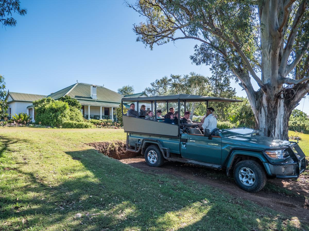 Leeuwenbosch Country House - Amakhala Game Reserve Eksteriør billede