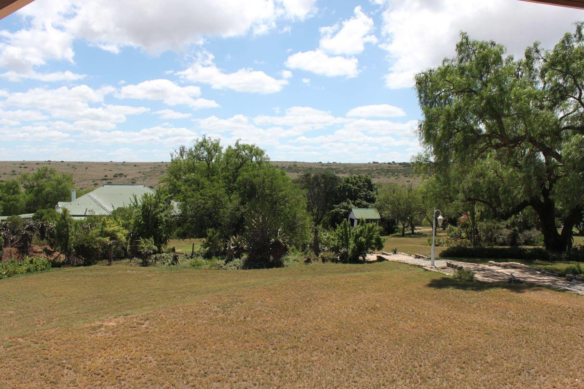 Leeuwenbosch Country House - Amakhala Game Reserve Eksteriør billede