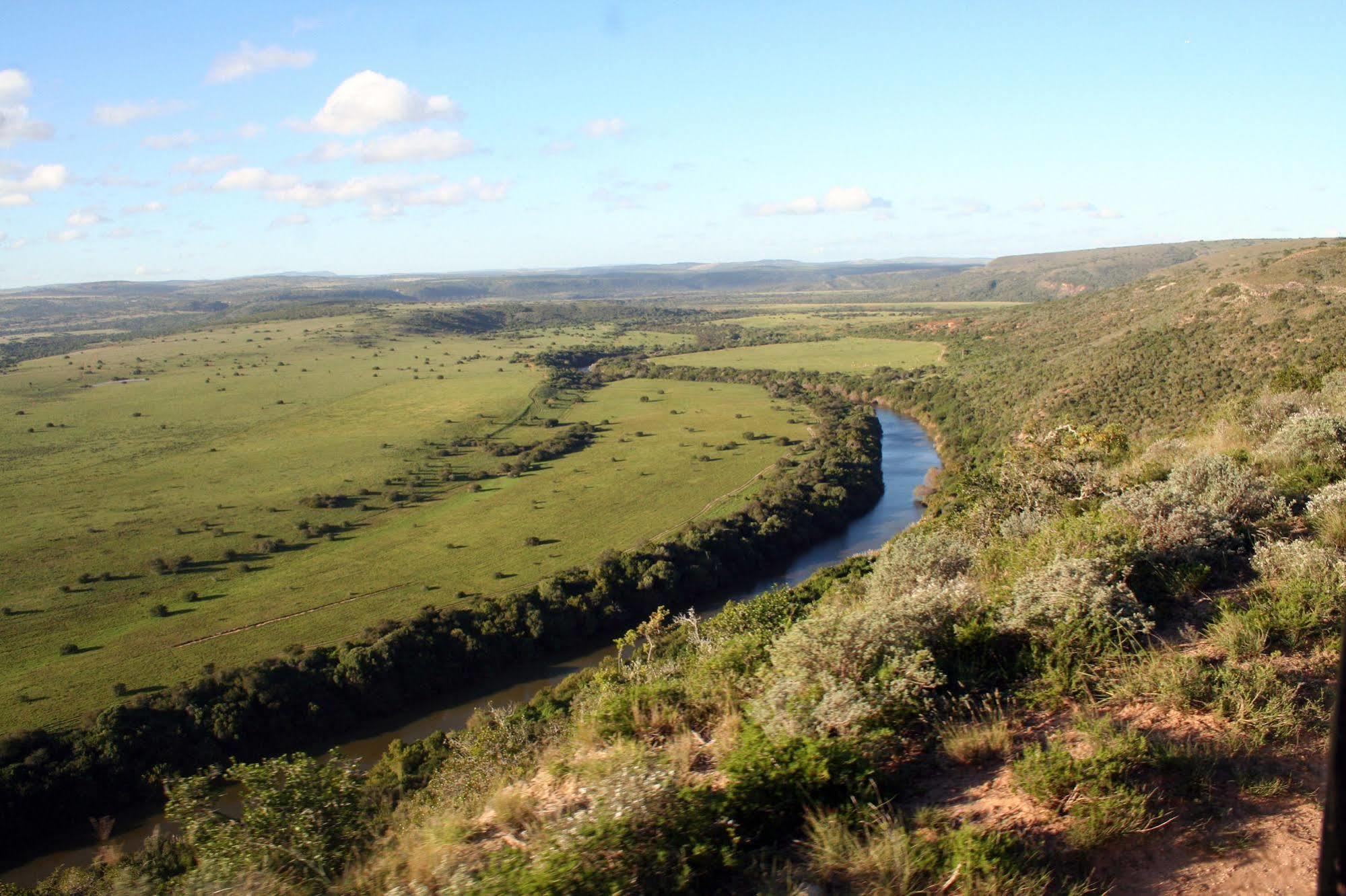 Leeuwenbosch Country House - Amakhala Game Reserve Eksteriør billede