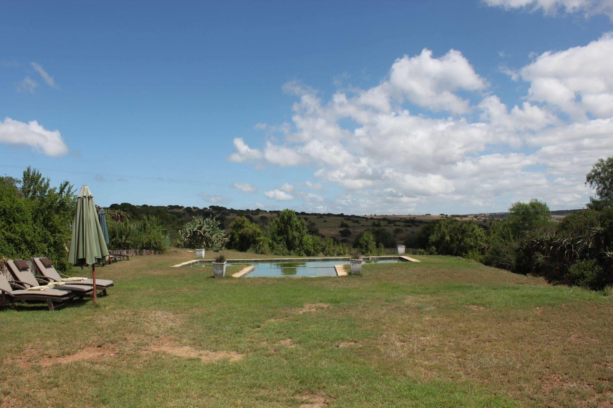 Leeuwenbosch Country House - Amakhala Game Reserve Eksteriør billede