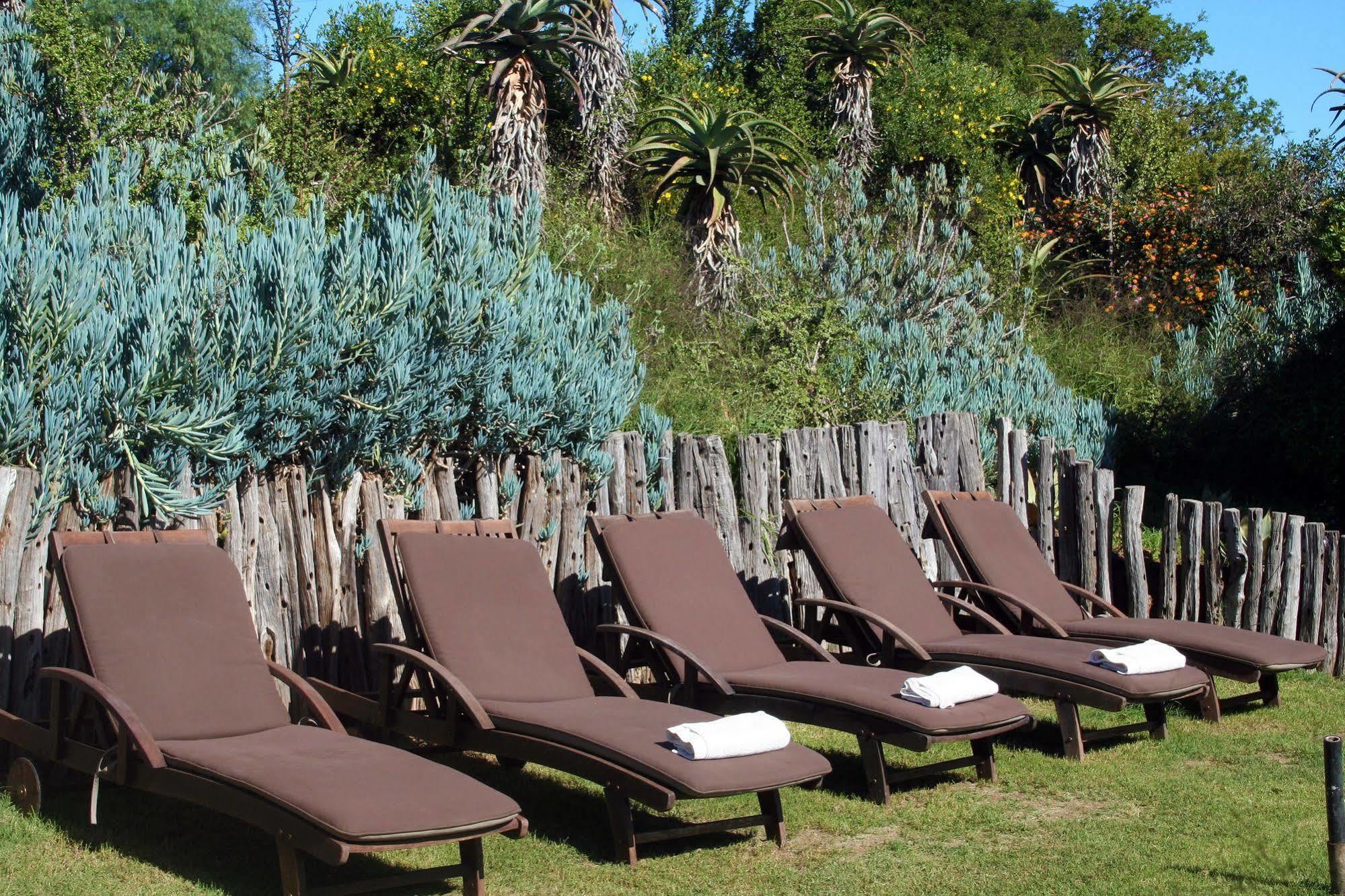 Leeuwenbosch Country House - Amakhala Game Reserve Eksteriør billede